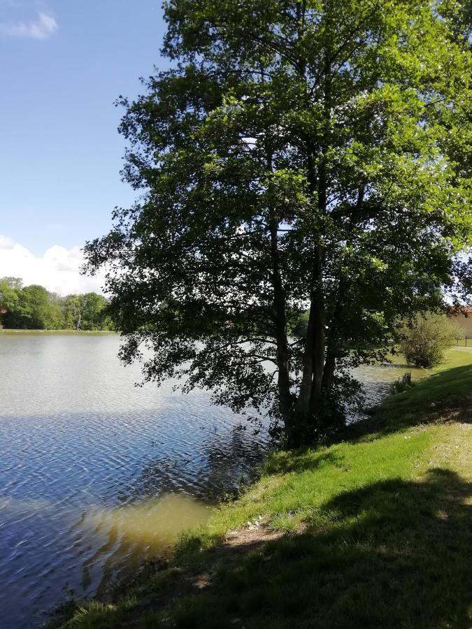 Au Clos De L'Etang Ravel المظهر الخارجي الصورة